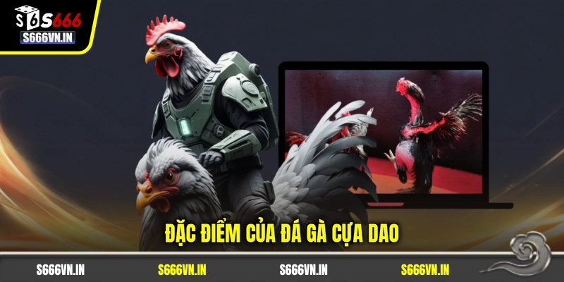 Đặc điểm của đá gà cựa dao