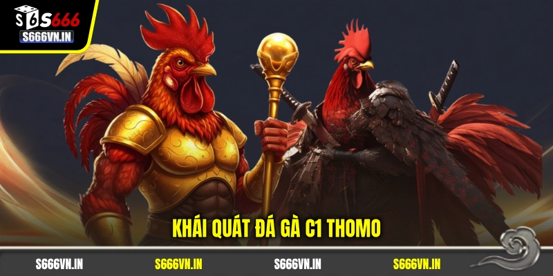 Khái quát đá gà C1 Thomo Khái quát đá gà C1 Thomo
