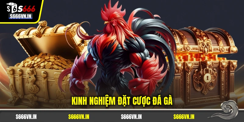 Kinh nghiệm đặt cược đá gà