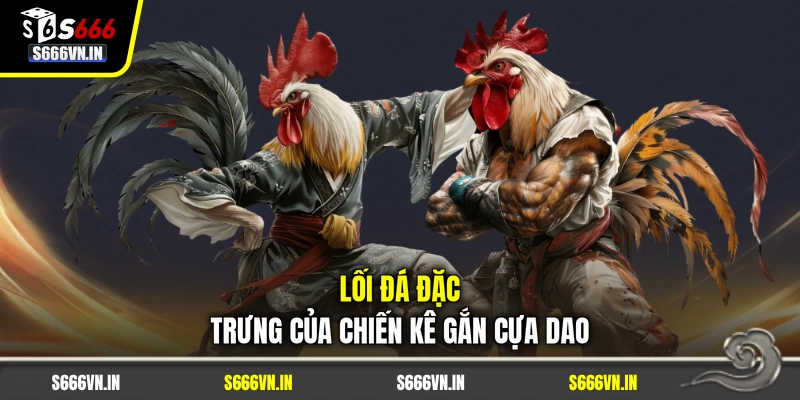 Lối đá đặc trưng của chiến kê gắn cựa dao