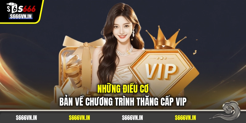 Những điều cơ bản về chương trình thăng cấp VIP Những điều cơ bản về chương trình thăng cấp VIP