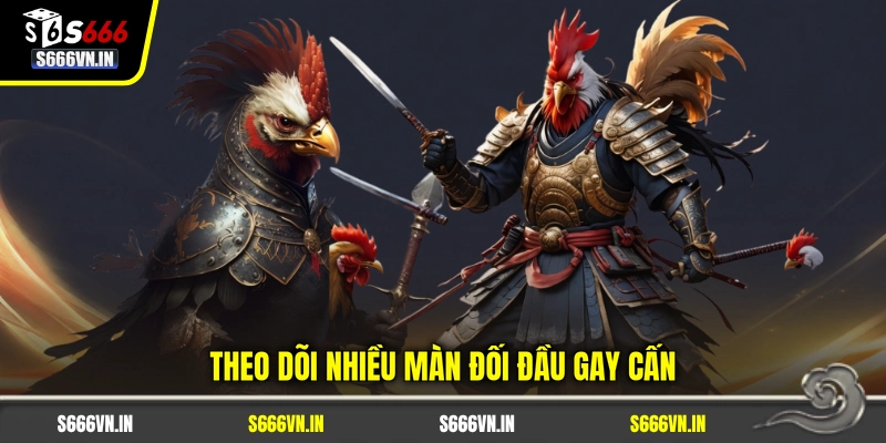 Theo dõi nhiều màn đối đầu gay cấn Theo dõi nhiều màn đối đầu gay cấn