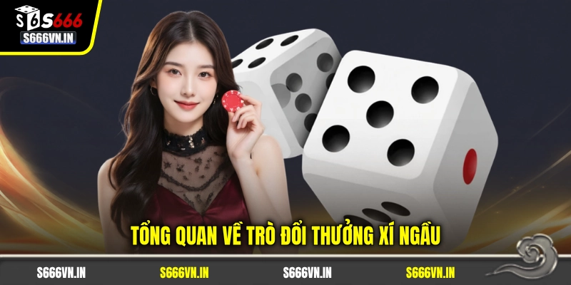 Tổng quan về trò đổi thưởng xí ngầu